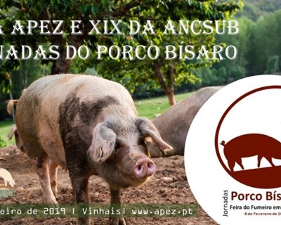 Vinhais recebe Jornadas do Porco Bísaro