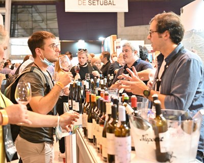“Vinhos & Sabores”: a maior feira do setor vínico regressa à FIL