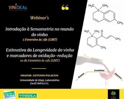 Vinideas realiza ciclo de webinars sobre moléculas e vinho