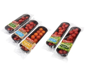 Vitacress aposta em novas variedades de tomate