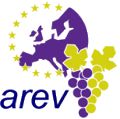 Viticultura europeia: O êxito de uma longa luta