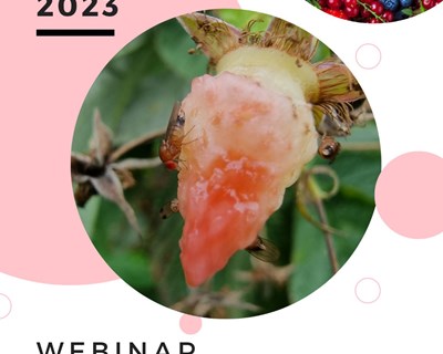 Webinar "Estratégias sustentáveis para o controlo de Drosophila suzukii: novas tendências e tecnologias"