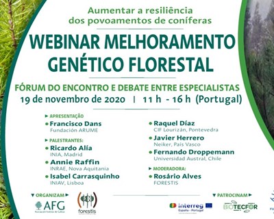 Webinar sobre melhoramento genético florestal acontece em novembro