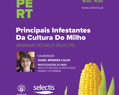 Webinar técnico: Principais infestantes da cultura do Milho