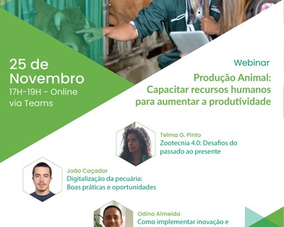 Wezoot promove webinar sobre produção animal