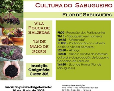 Workshop sobre a Cultura do Sabugueiro