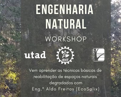 Workshop de Engenharia Natural