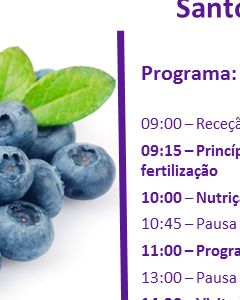 Workshop – FERTILIZAÇÃO DO MIRTILO