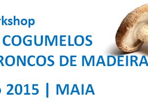 Workshop: Produção de Cogumelos Shiitake em Troncos de Madeira