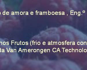 Workshop: Produção de amora e framboesa e conservação de Pequenos Frutos | 11 de Fevereiro