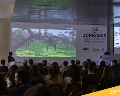 XII Jornadas do Hospital Veterinário Muralha de Évora debatem a importância da criação de gado na sustentabilidade do ecossistema