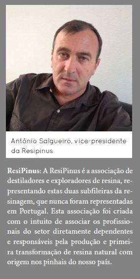 António Salgueiro - Vice-Presidente da Resipinus