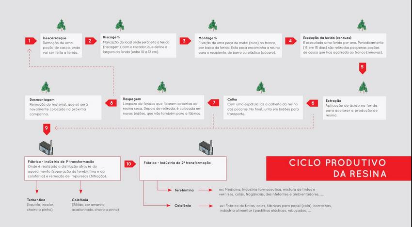 Ciclo Produtivo da Resina