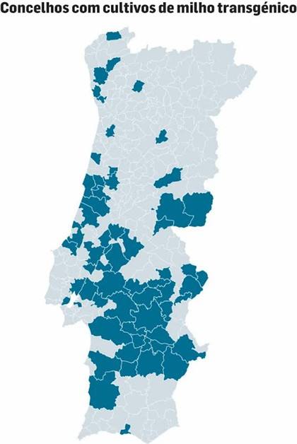 Mapa de Cultivo de Milho OGM