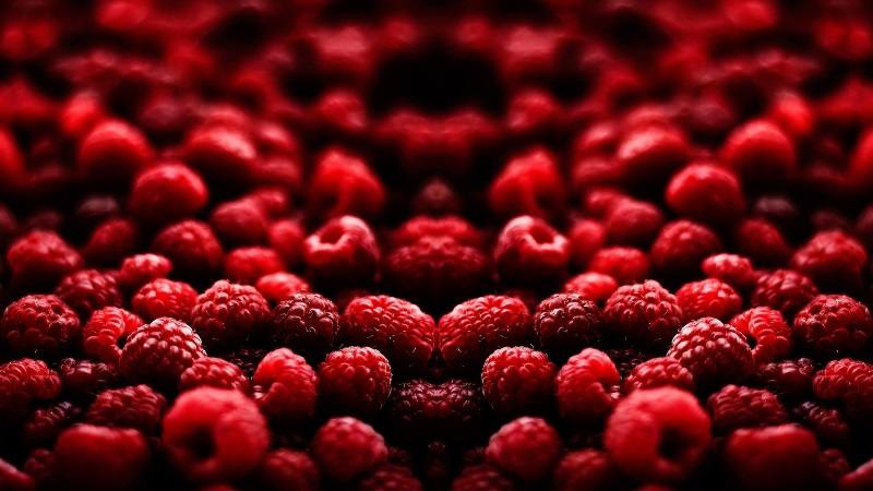 pequenos frutos