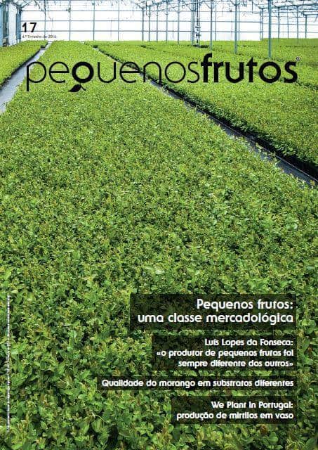 pequenos frutos