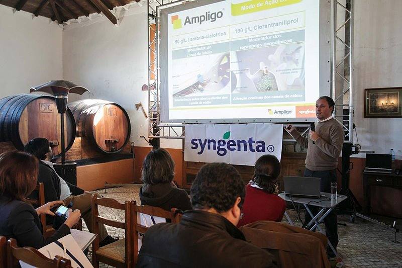 syngenta