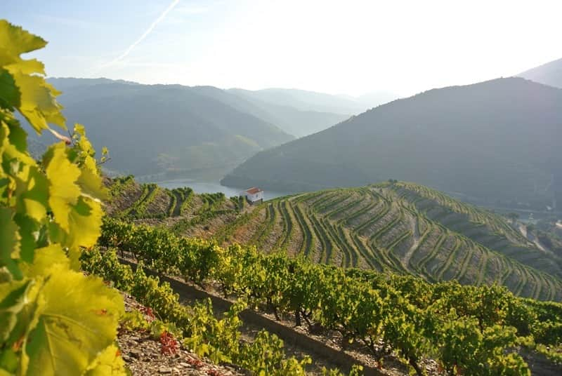 douro