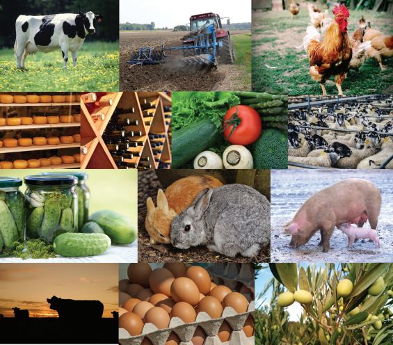 agrosmart