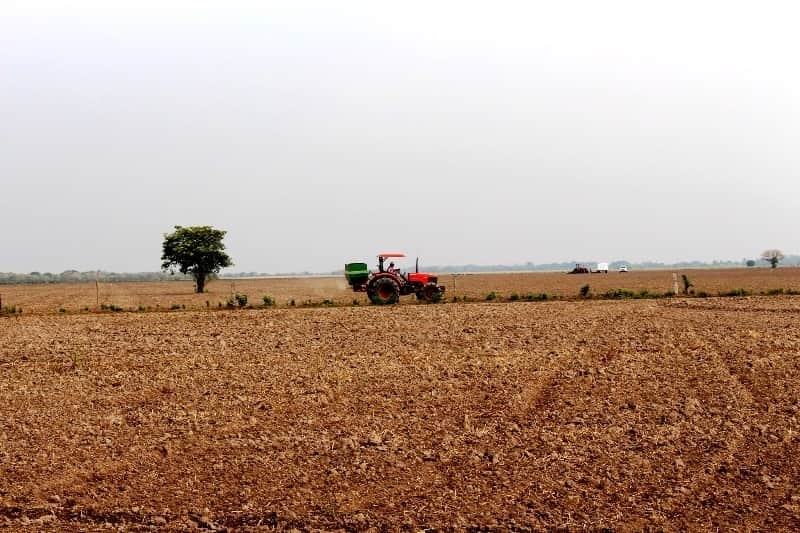 jovens agricultores