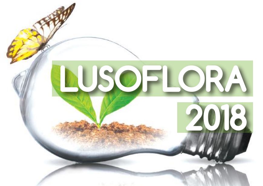 lusoflora