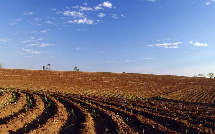 terrenos