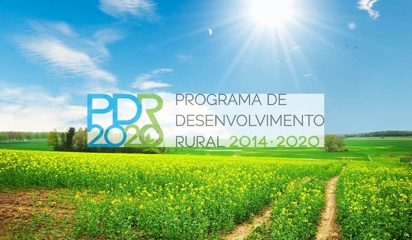 PDR2020