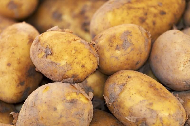 batata