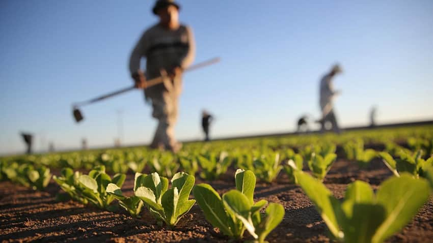 agricultura