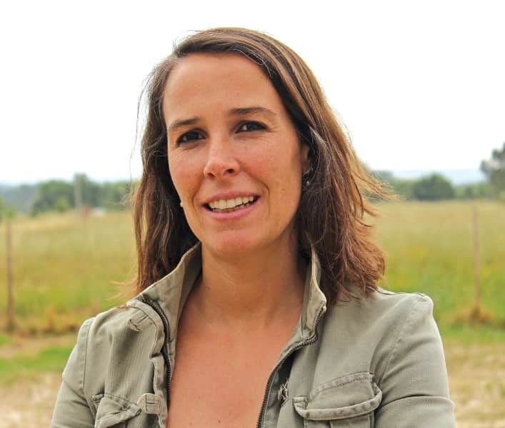 margarida
