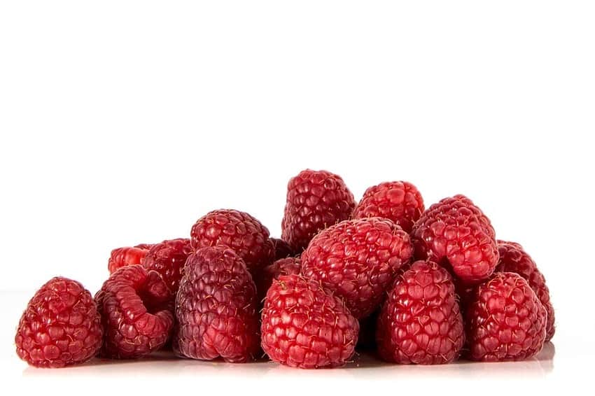 framboesa