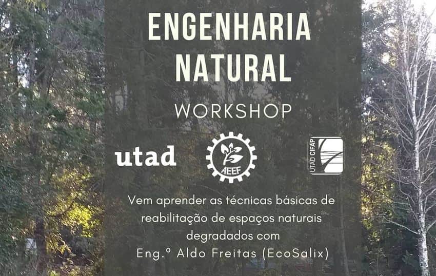 engenharia natural