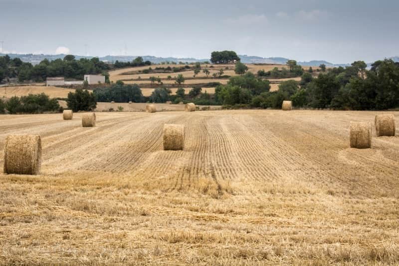 agricultura