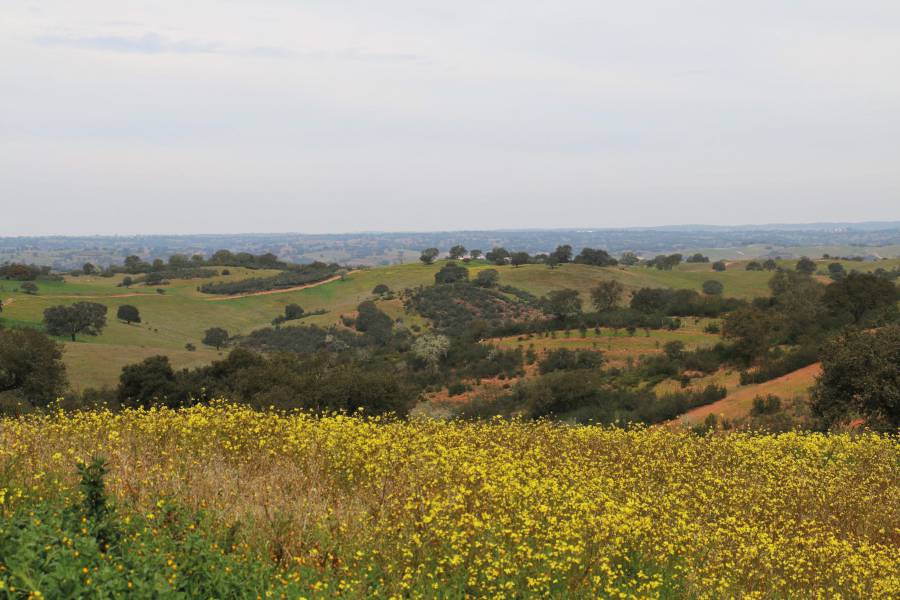 alentejo