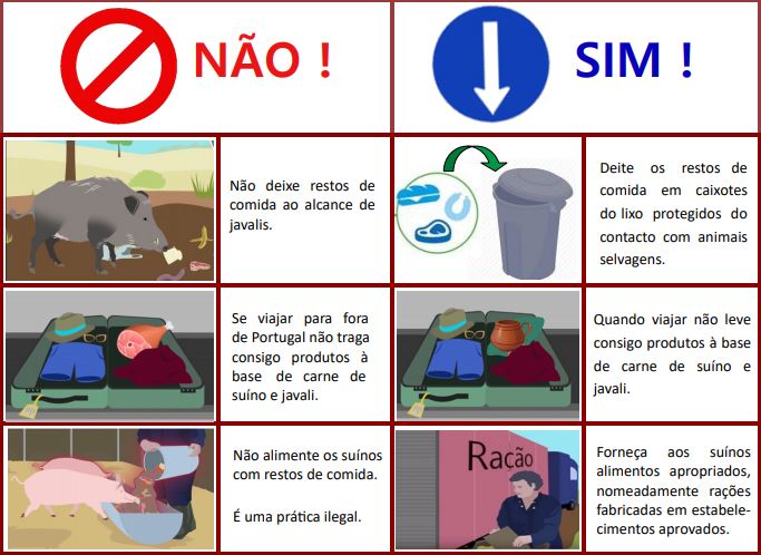 peste suina