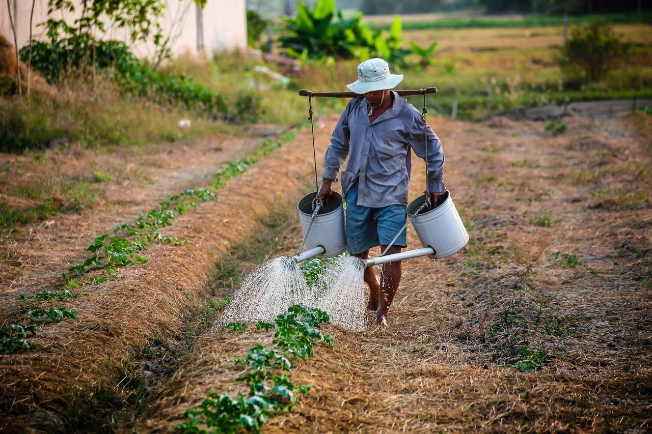 Agricultura