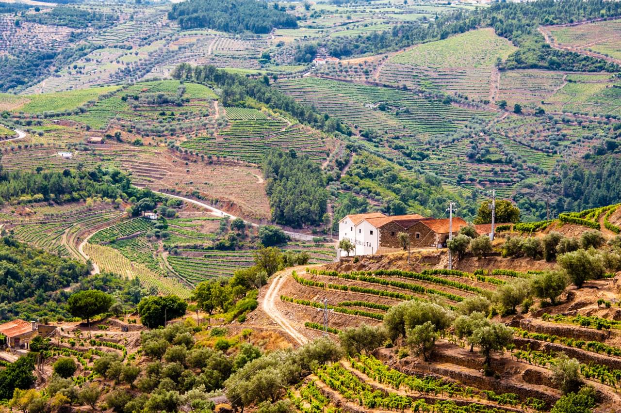 Douro