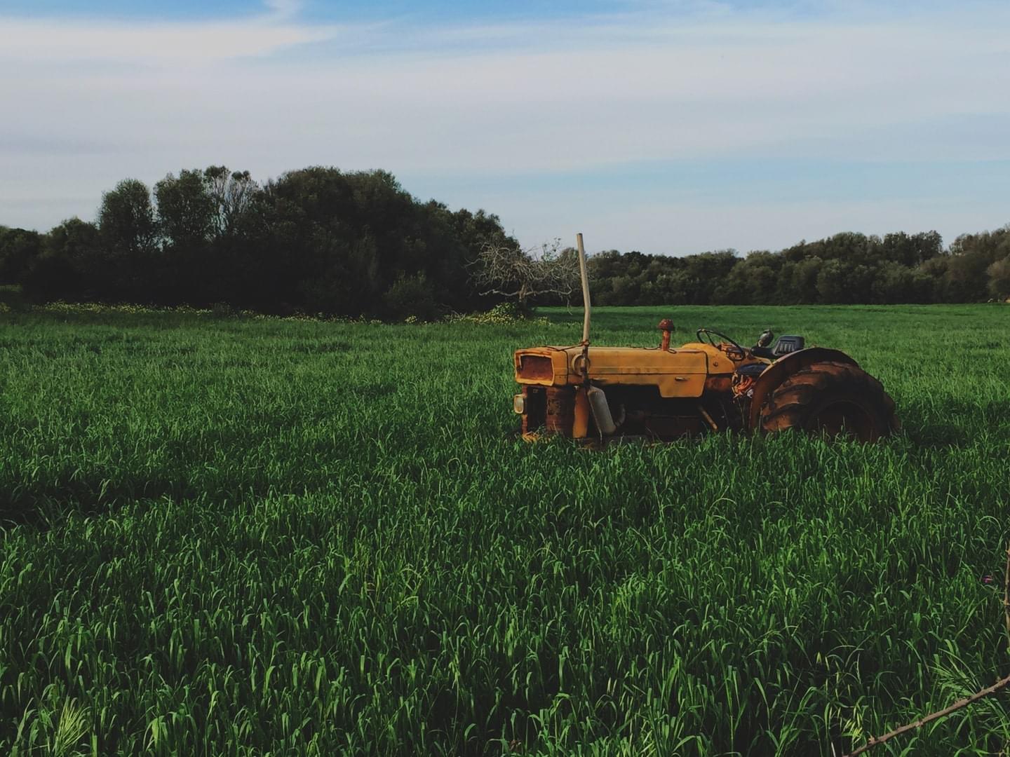 Agricultura