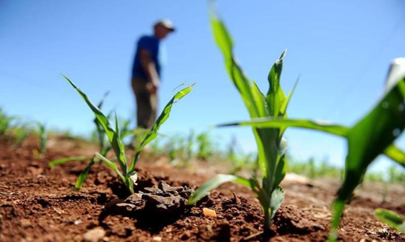 Agricultura