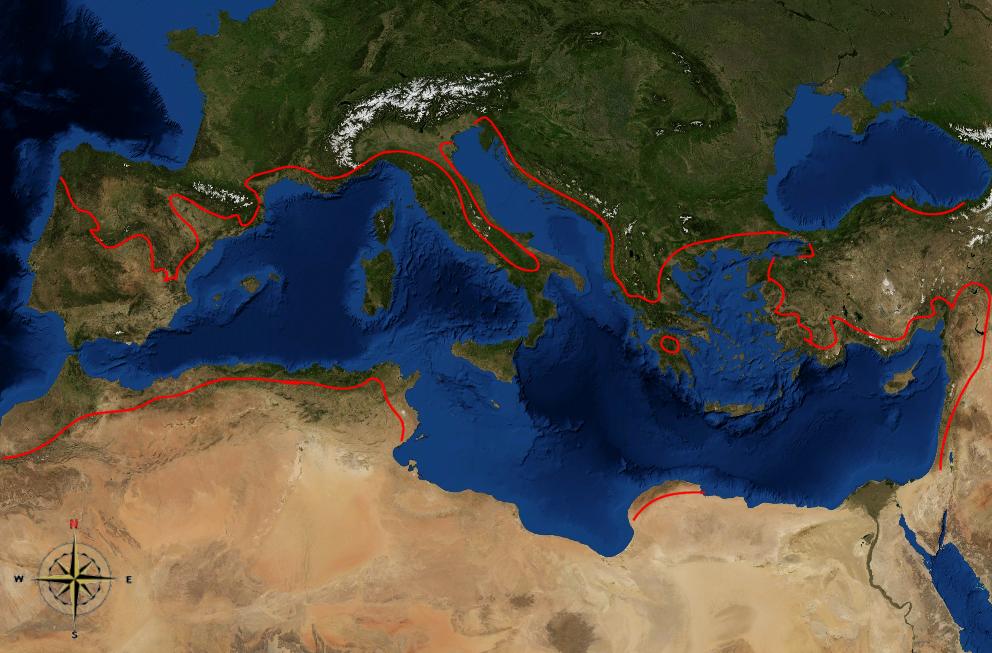 Bacia do Mediterrâneo