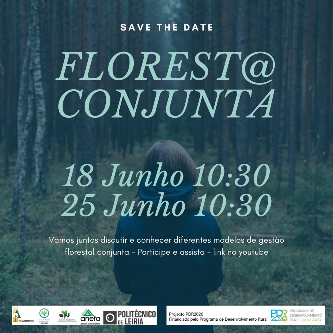 Floresta Conjunta