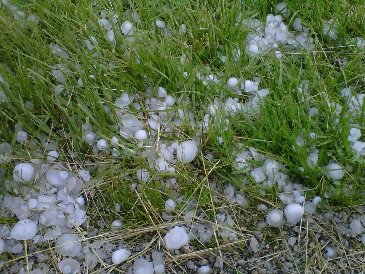 Granizo agricultura