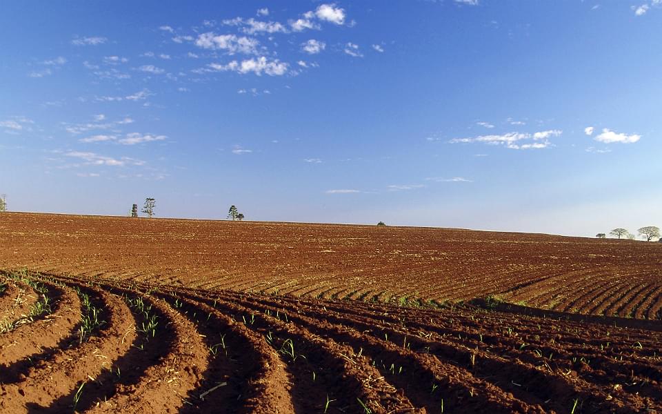 Agricultura