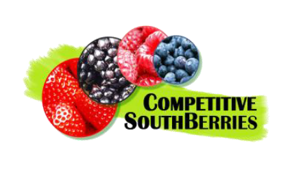 GO-CompetitiveSouthBerries