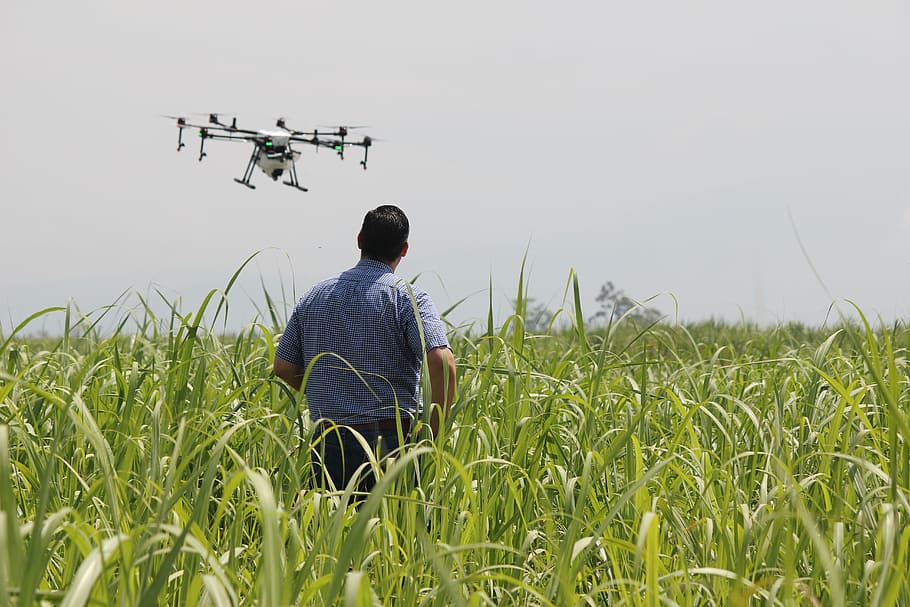 Agricultura