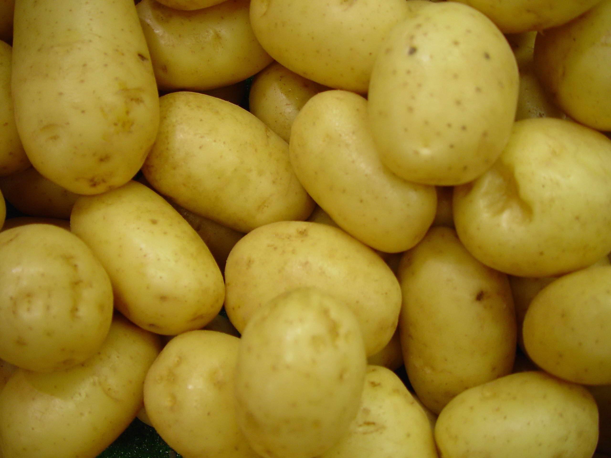 Batata