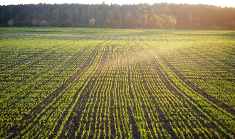 Agricultura