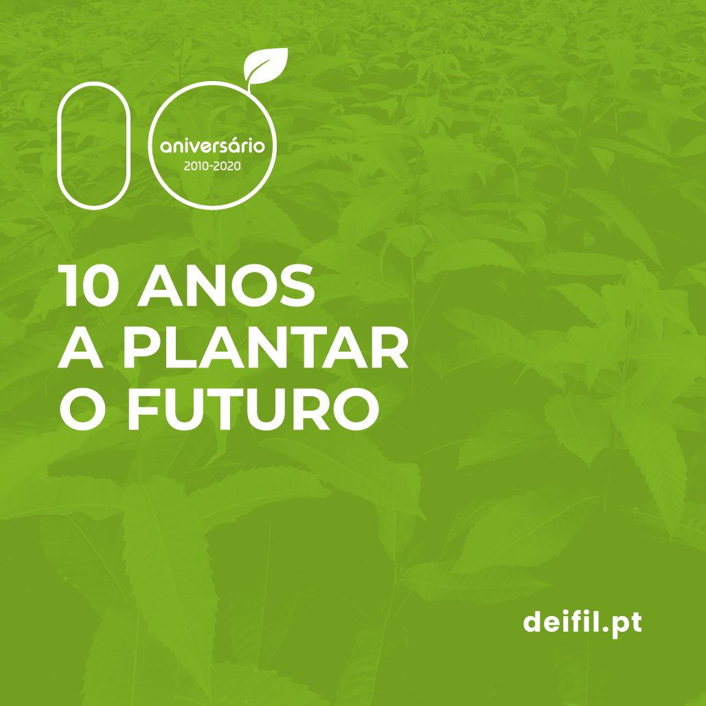 Deifil