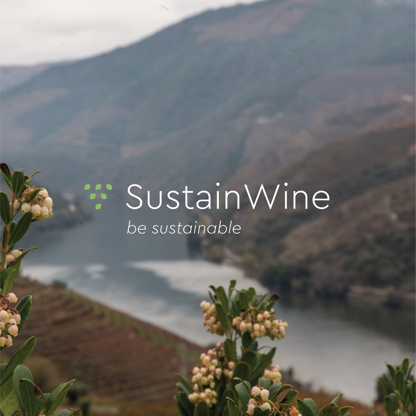 SustainWine