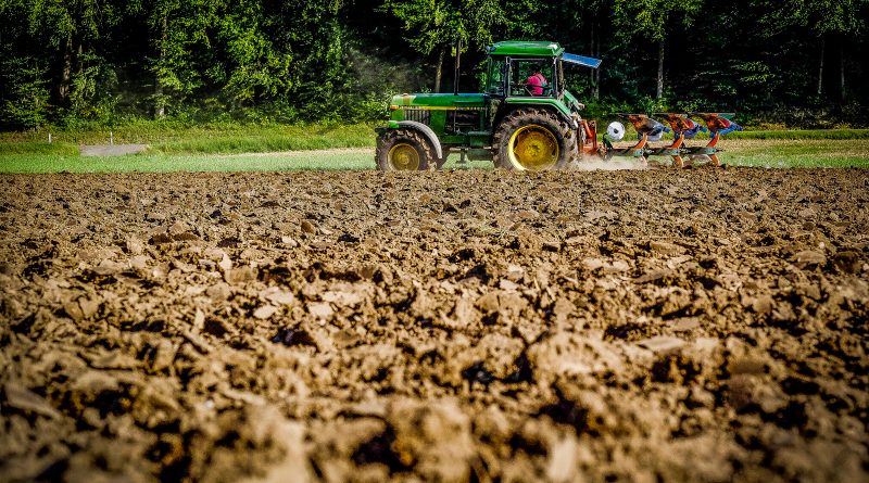 Agricultura